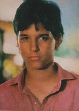 Ralph Macchio A-ha teen magazine pinup clippings Teen Machine young boy PIX