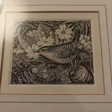 Robin Tanner "Wren"  From The Mem. Portfolio