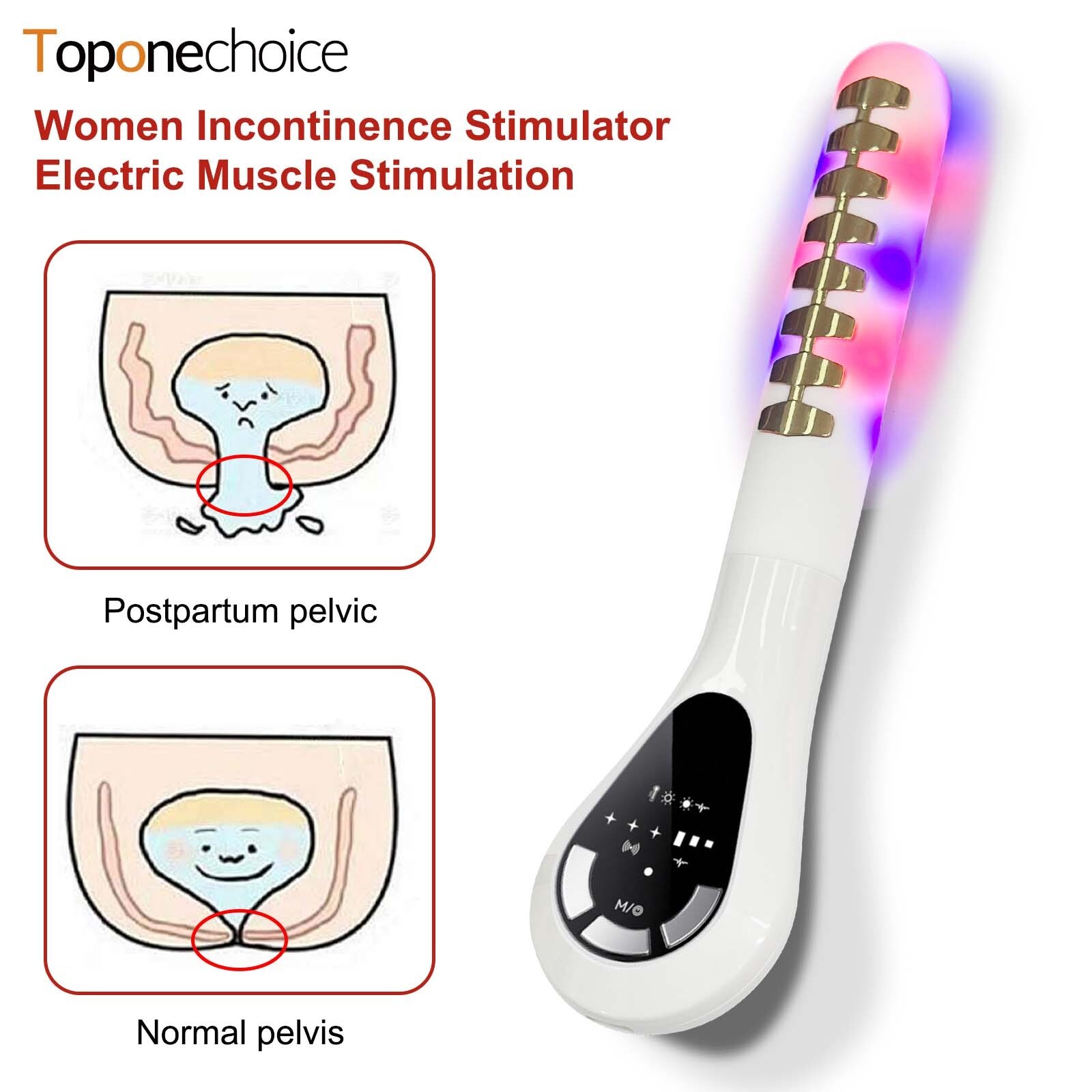Electric Pelvic Floor Exerciser and Wand