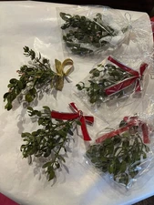Mistletoe WITH BERRIES Fresh LOT OF “5”Bags  4”x10”~ OREGON GROWN ~ BEST DEAL