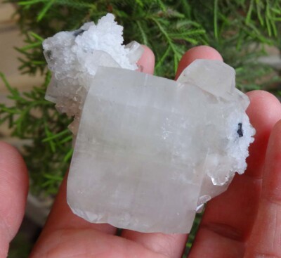Apophyllit Auf Stilbit Chalcedon Kristalle Gesteinsmineralien Probe BO=15