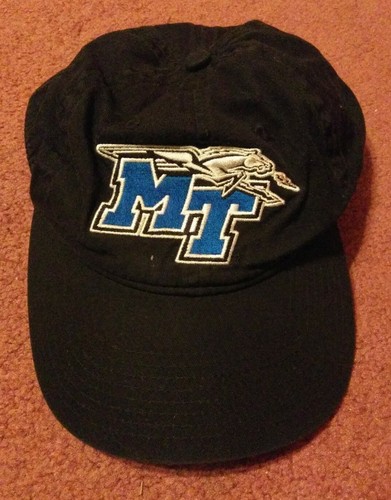 MIDDLE TENNESSEE STATE UNIVERSITY MTSU 