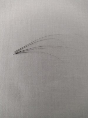 Real Cat Whiskers, Genuine Natural Feline Whiskers | eBay