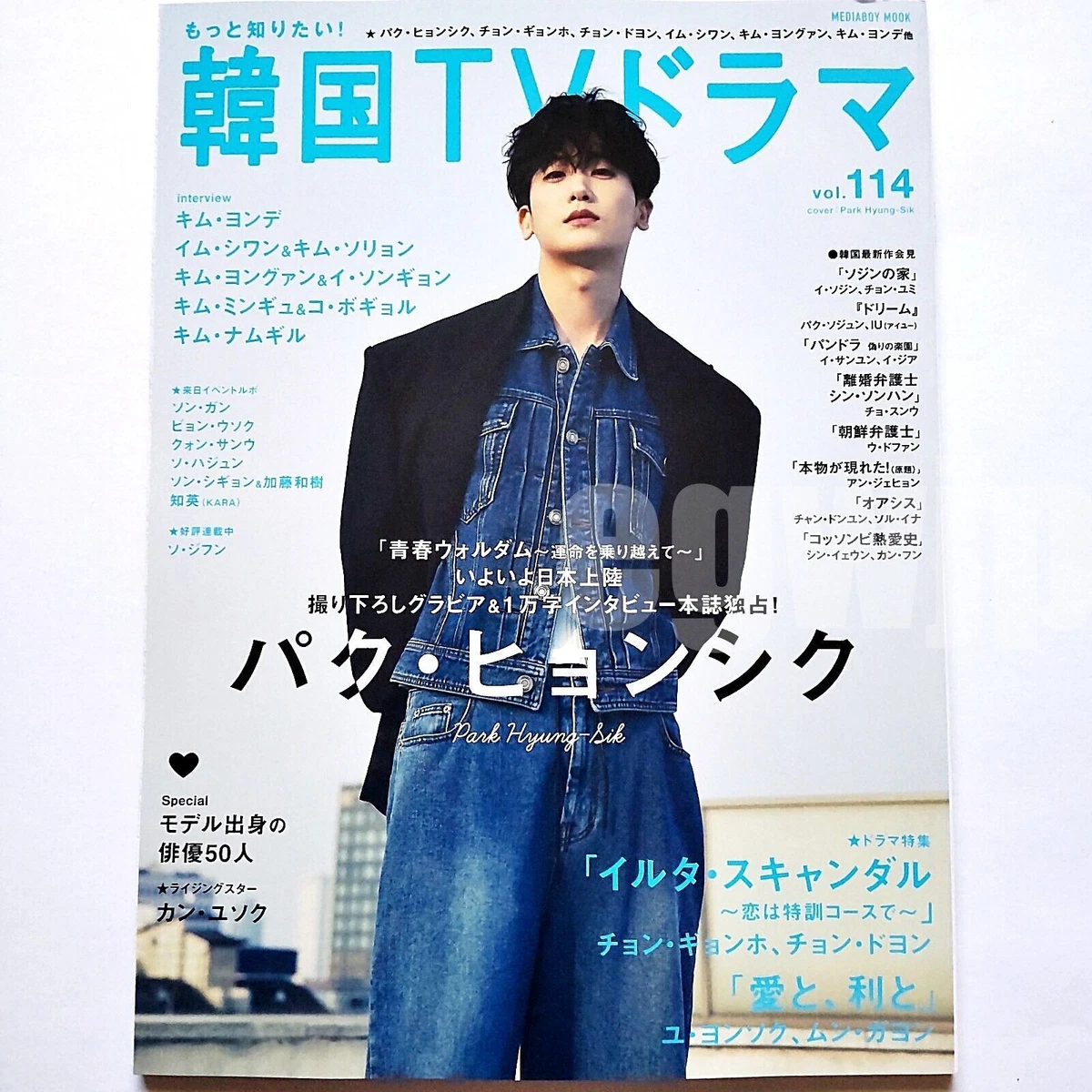 Park Hyung-sik cover Korean TV Drama Vol.114 Japanese Magazine | eBay