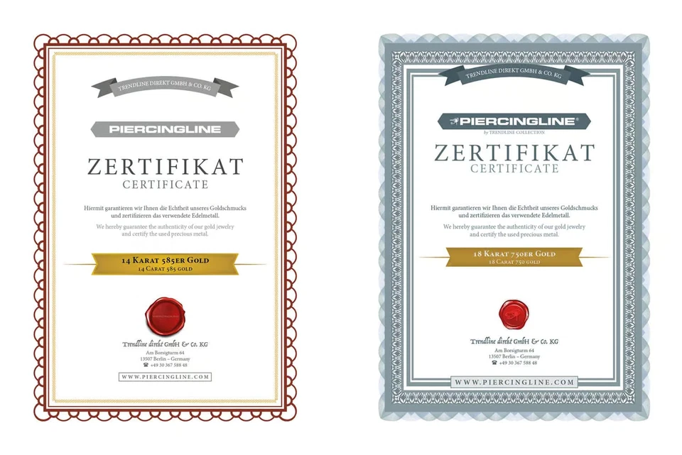 PIERCINGLINE  Piercing Ring 14 K Gold Segmentring Clicker - Bild 4 von 4