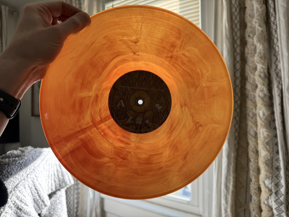 Further Seems Forever - Hide Nothing Vinyl LP (20th Anv Reissue