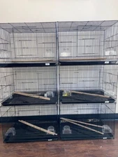 24” x 16” x 16 “ flight cages bird box of 6 Black parakeet lovebird cockatiel