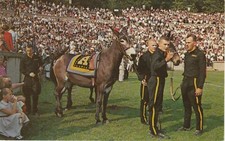 Postcard Michie Stadium, West Point, New York