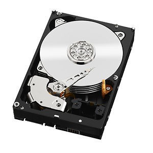 Western Digital RE 3.9TB Internal 7200RPM 3.5'' (WD4001FYYG) NAS