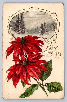 Postcard Christmas Poinsettias Winter Scene Vignette A Merry Christmas 1915 E153