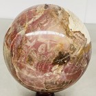 Natural Petrified Wood Polished Stone Quartz Crystal Sphere Ball Healing 3600G — photo 4