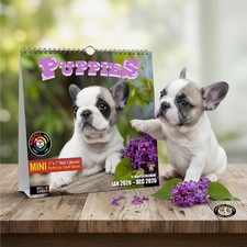 Mini Puppy Wall Calendar 2026 12 Cute Dog Pet Gift Small Space