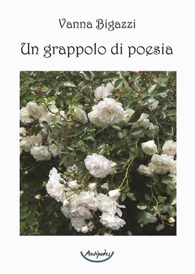 Buch - Bigazzi Vanna - Ein Gedichtcluster - Antipodes