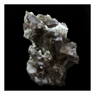Rauchquarz. 302,0 ct. Mont-Blanc-Massiv, Haute-Savoie, Frankreich..