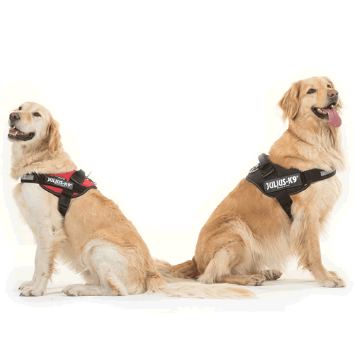 JULIUS¹K9 IDC Hundegeschirr Schwarz Spaziergang Arbeit Dressur verschiedene Größen - Bild 5 von 8