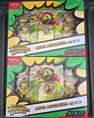 2 Pokemon TCG Ascended Heroes Mega ex Box Meganium New | eBay