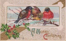 Christmas Robins Embossed Holly Brodheads NY 1911 - Embossed Postcard
