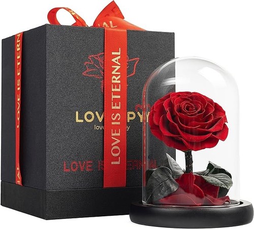 Forever Real Roses Forever Preserved Real Rose in Glass Dome - Infinity Rose Gift for Her ...