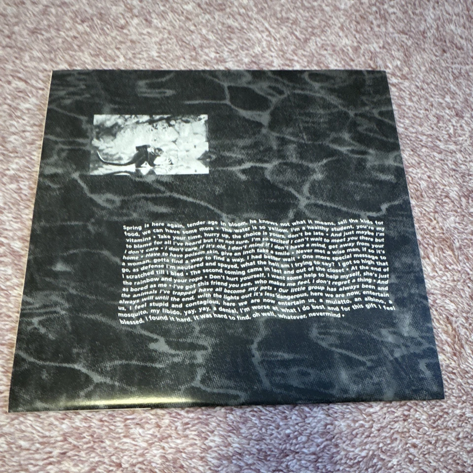 Nirvana Nevermind · Lp · 2015, Foto 4 von 5
