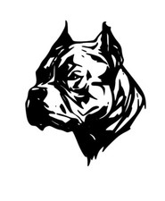 XL american Bully Pitbull Dog Car Van Vinyl Sticker 