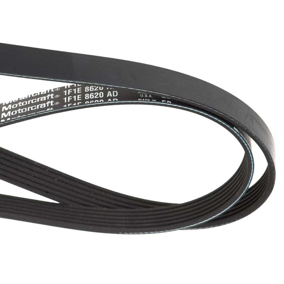 Correa de ventilador de transmisión serpentina genuina OEM NUEVA 01-07 Taurus 01-05 Sable 1F1Z-8620-AD Foto 4 de 4