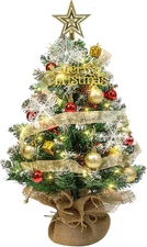 24 Inch Mini Artificial Christmas Tree with LED String Lights, Star Topper and H