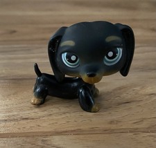 Littlest Pet Shop 325 Dachshund Black Brown Puppy Dog Blue Eyes Hasbro LPS