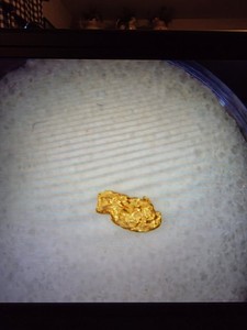 Pure Gold Nugget California Natural Small Gold Nugget .081 of a Gram, Beautiful!