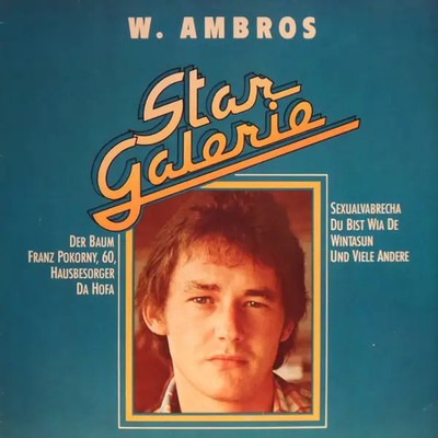 Wolfgang Ambros Star Galerie NEAR MINT amadeo Vinyl LP