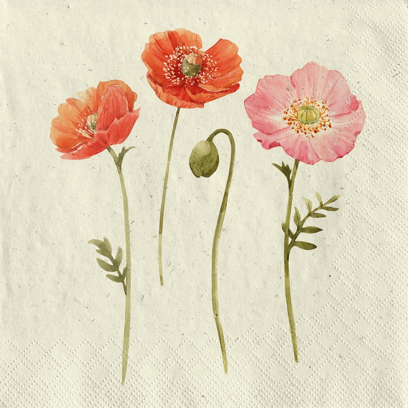 4 x Cocktail Napkins/25cm/3Ply/Grass PULP/Decoupage/Little Poppies in Pinks/Reds