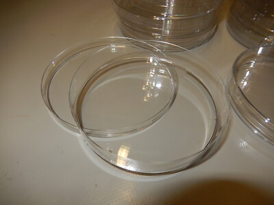 Petrischale Aus Glas 90mm - 10 Stück Mit Deckel, Borosilikatglas