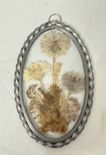 Lasting Impressions Real Pressed Flowers in Glass Oval Metal Frame Suncatcher 6  