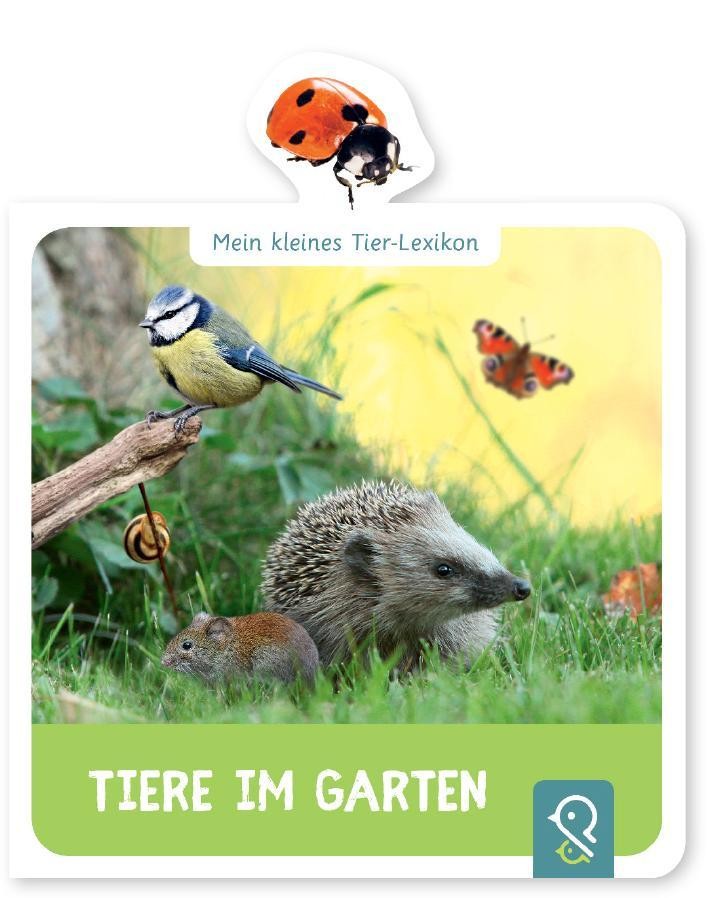 Mein kleines Tier-Lexikon - Tiere im Garten Hannah Kastenhuber