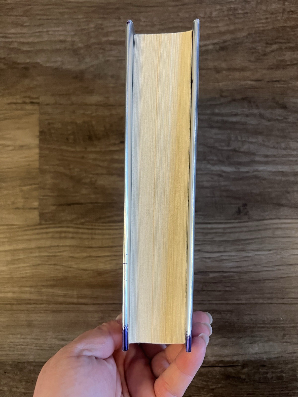 Warriors Super Edition: Bluestar's Prophecy - Hardcover - VERY GOOD