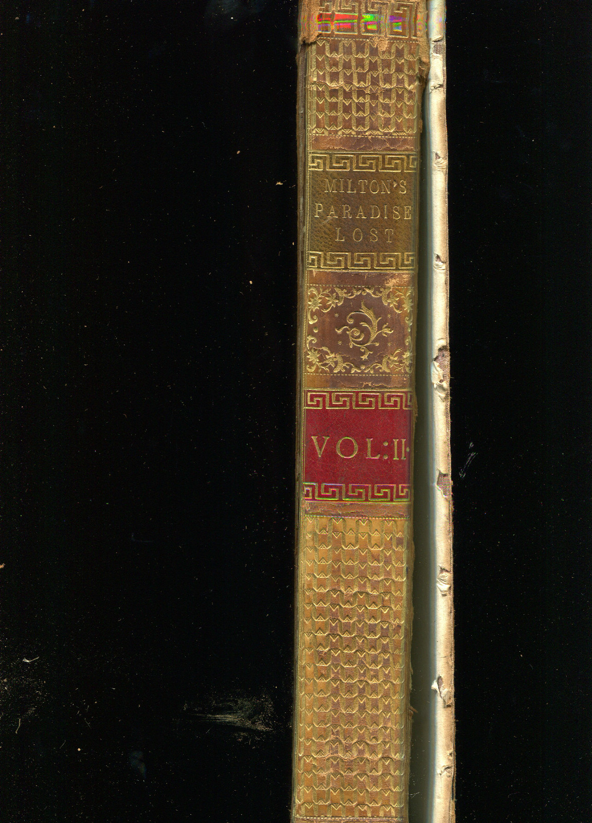 Picture 7 of 7