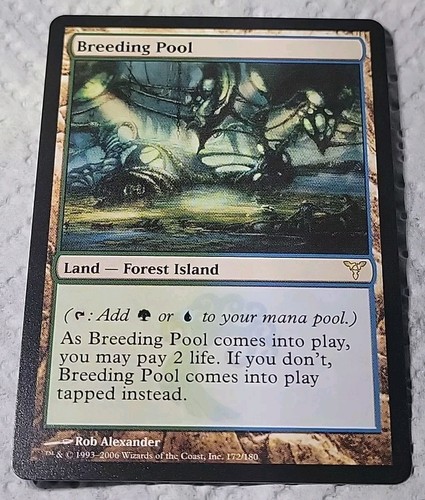 MTG Magic the Gathering Breeding Pool 172/190 Dissension LP