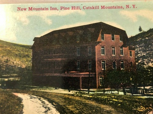 New Mountain Inn, Pine Hill, Catskill Mountains, N.Y. Vintage Real Pict.Postcard - Picture 2 of 5