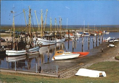 Koog aan de Zaan HafenTuemlauer