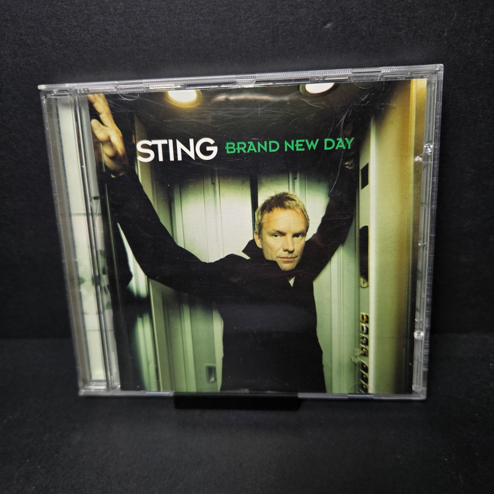 Brand New Day by Sting (CD, 1999)- Very Good