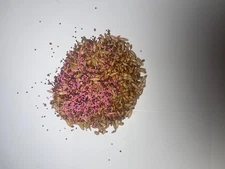 10 lbs. Bucks Paradise Brassica Seed Turnips, Radish, Clover, Wheat, Rye, Oats