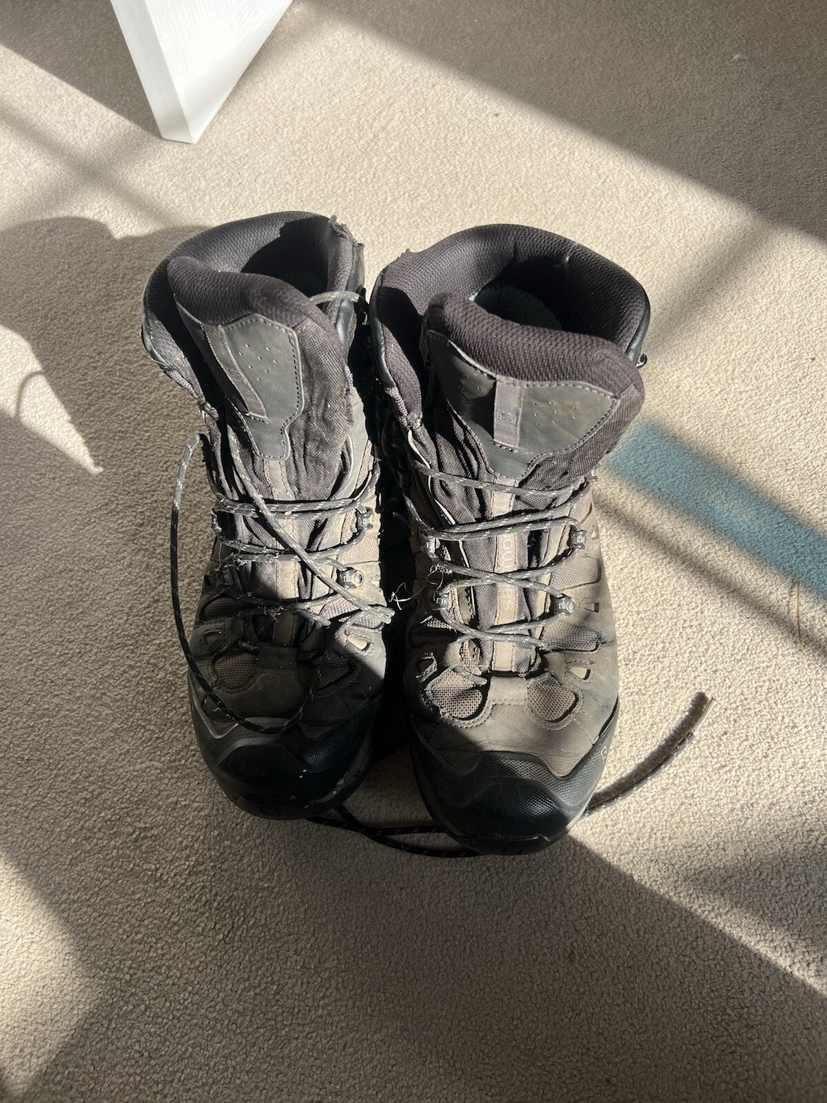 Scarpe da trekking Salomon Quest prime gtx alte UK 11