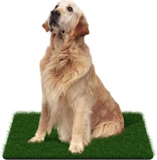 Artificial Grass Door Mat - for Entryway Indoor/Outdoor Green Turf Rug, Perfect 