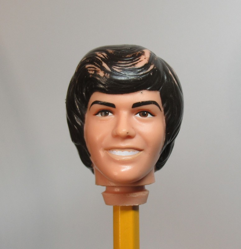 TLC Vintage Barbie Friend Donny Osmond Doll Head Hong Kong Ken
