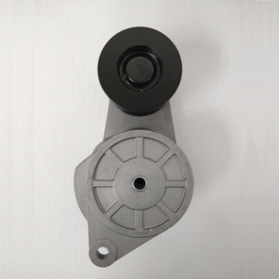 APV3095 / 3401029HB Belt Tensioner