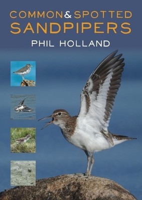 Common and Spotted Sandpipers by Phil Holland - 9781849953610