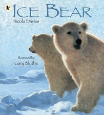 Ice Bear By  Nicola Davies, Gary Blythe. 9781406313048