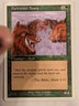 Durkwood Boars - Starter 2000 - Magic the Gathering MTG Nice!