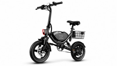 Wind Horse 14'' Electric Bike 500W Ebike for Adults 36V 8.0Ah Battery 20MPH 35Mil