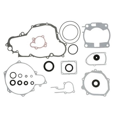   WINDEROSA FULL GASKET SET ENGINE W811665 NEU DE STOCK