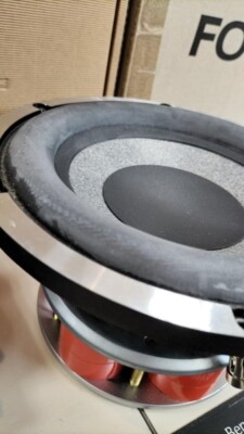 FOCAL UTOPIA BE 21WX Car Audio Subwoofer Unit USED JP | eBay